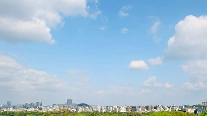 福冈市景观市中心花草树木蓝天白云