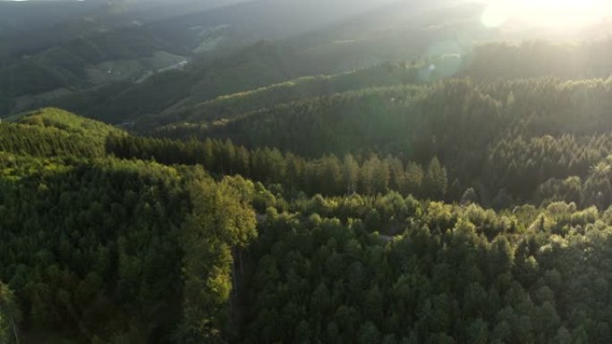 日落时对森林的空中无人机拍摄