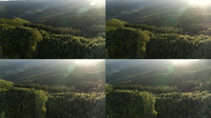 日落时对森林的空中无人机拍摄