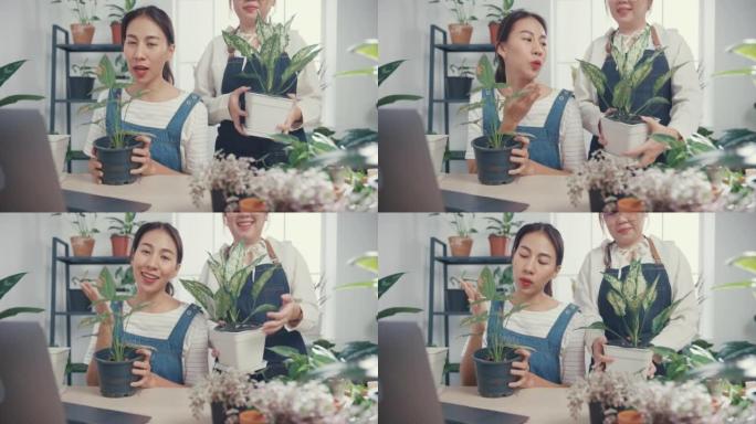 年轻的亚洲女性使用笔记本电脑接收采购订单，并在早上在树木商店通过相机在线展示植物录制视频。