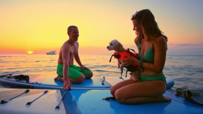 太阳落山时，SLO MO男人和女人与狗一起坐在海上的桨板上