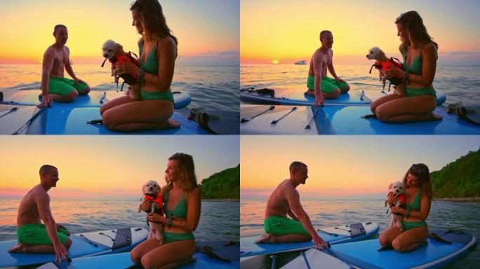 太阳落山时，SLO MO男人和女人与狗一起坐在海上的桨板上