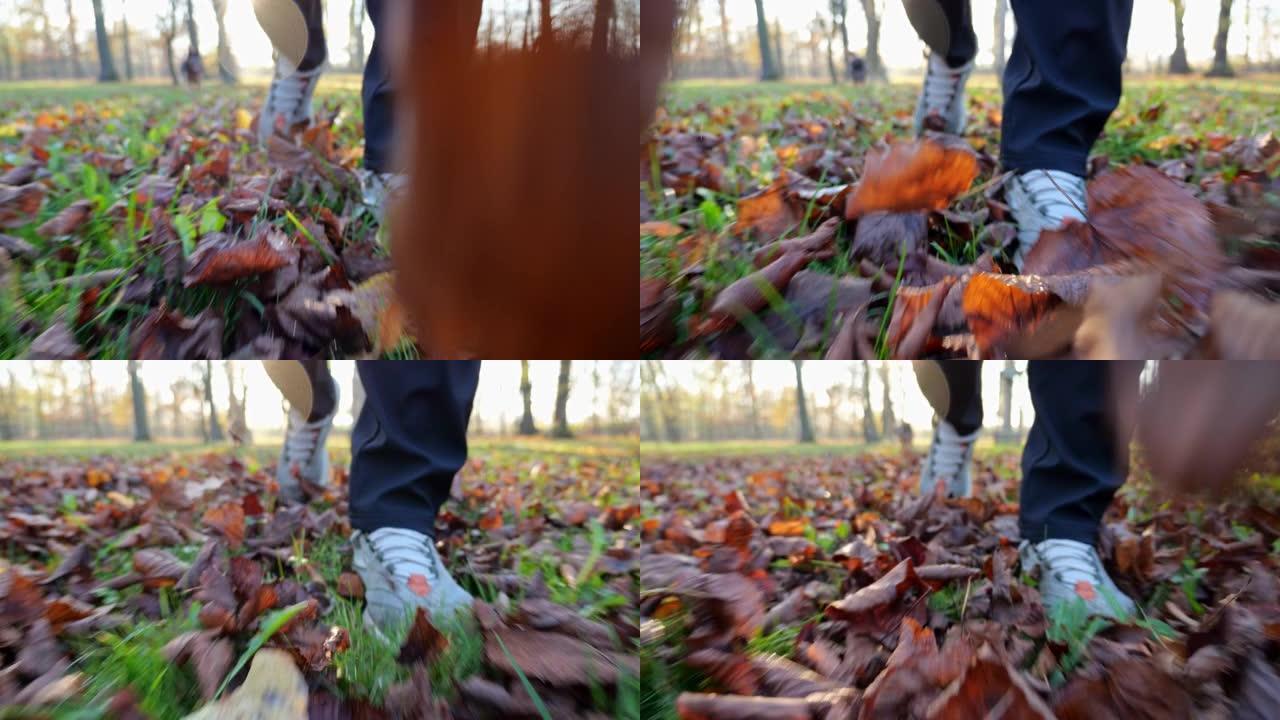 在公园里播撒秋叶。鞋子的特写镜头。秋日的阳光照亮了秋叶。