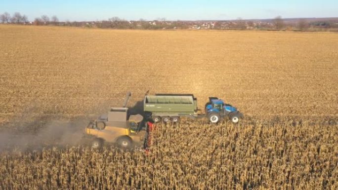 收割期间在田间运输玉米或小麦货物的拖拉机的鸟瞰图。飞越农业机器，带着拖车中的谷物驶过农田。美丽风景秀