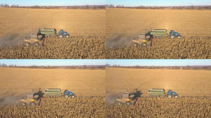 收割期间在田间运输玉米或小麦货物的拖拉机的鸟瞰图。飞越农业机器，带着拖车中的谷物驶过农田。美丽风景秀