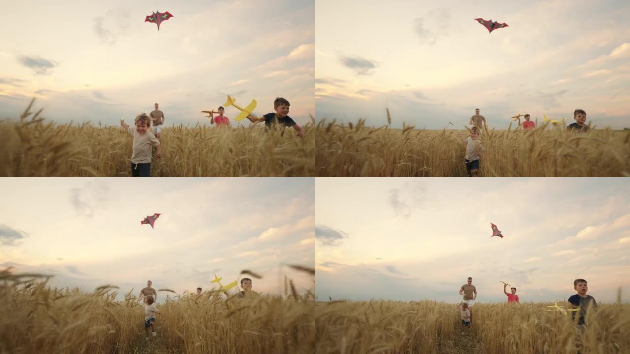 快乐的小男孩和爸爸一起在金黑麦场上奔跑，放风筝，玩飞机
