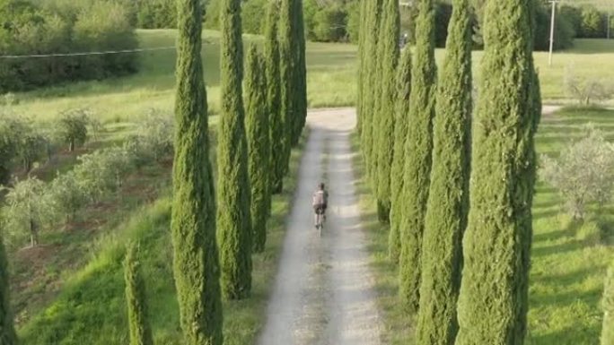 骑自行车的人在葡萄园附近的柏树上骑自行车在砾石车道上的空中无人机视图