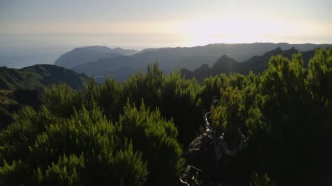 查看过去的灌木丛，从岩石上露头到遥远的海岸和山脉