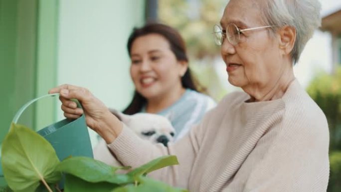 高级妇女和她的女儿照顾植物