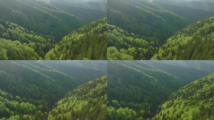 郁郁葱葱的绿色森林和山脉的空中无人机视图