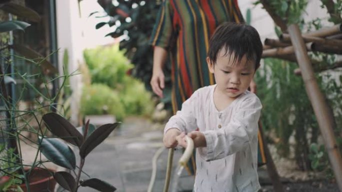 可爱的小男孩在花园里给植物浇水