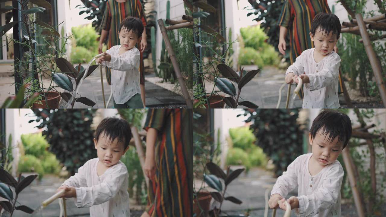 可爱的小男孩在花园里给植物浇水