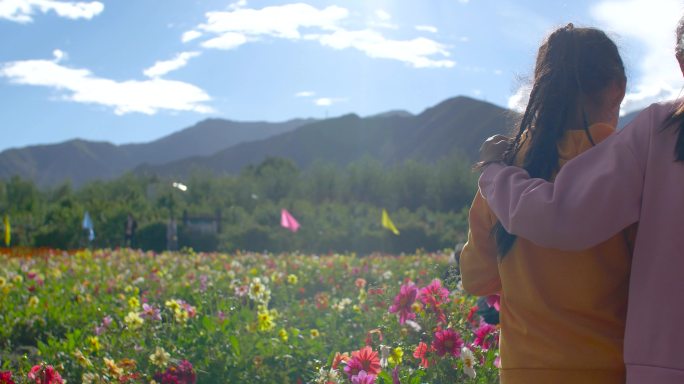 遍地花海 遍地花朵 花地里奔跑 花田