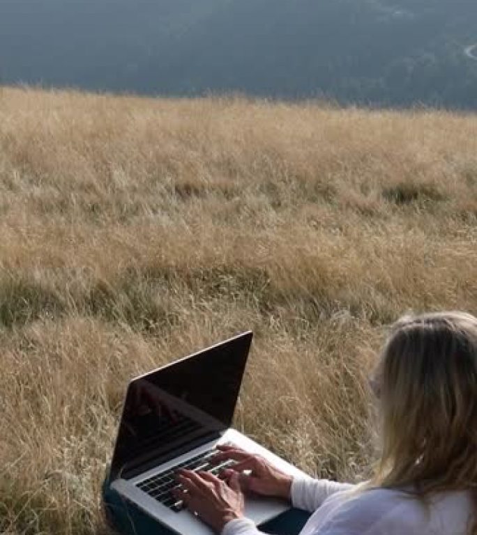 女人在山区的草地草地上使用笔记本电脑