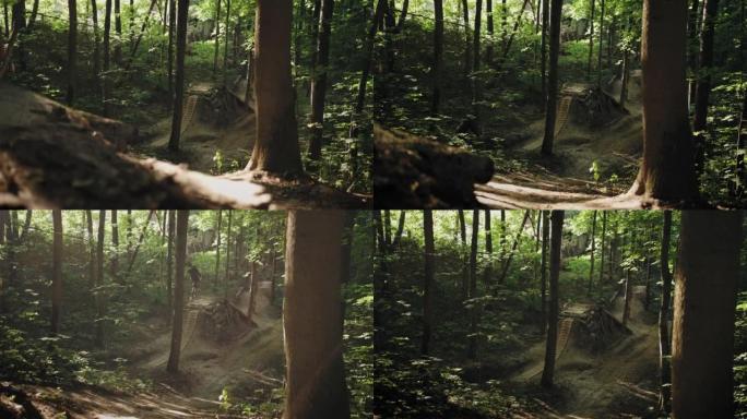 相机飞越森林，森林中的一名专业山地车手加速并飞越极端分子的森林跑道跳板