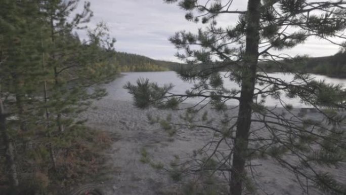 男人和女人骑着山地自行车朝湖边骑行