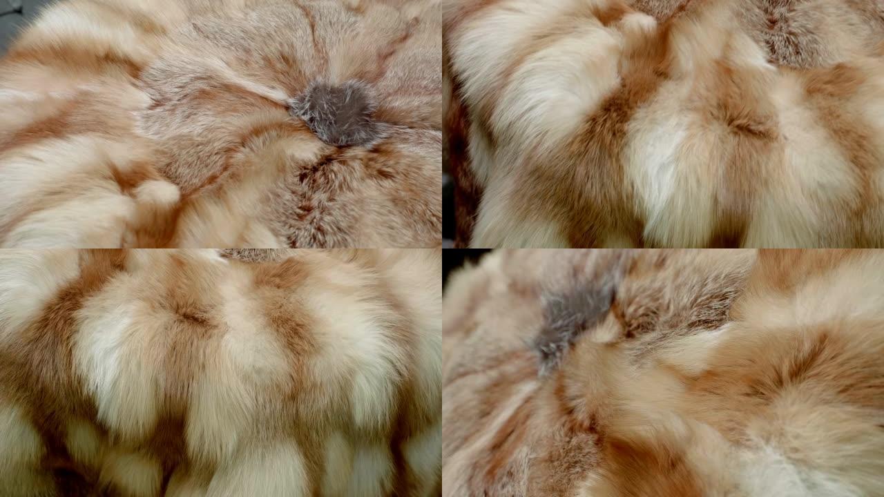 想要的，柔软而温暖的狐狸毛，从中可以得到昂贵而美丽的皮大衣
