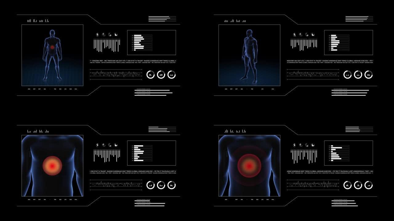 胃部病变的人。男孩的3d身体。男性人体结构的旋转动画和特写。