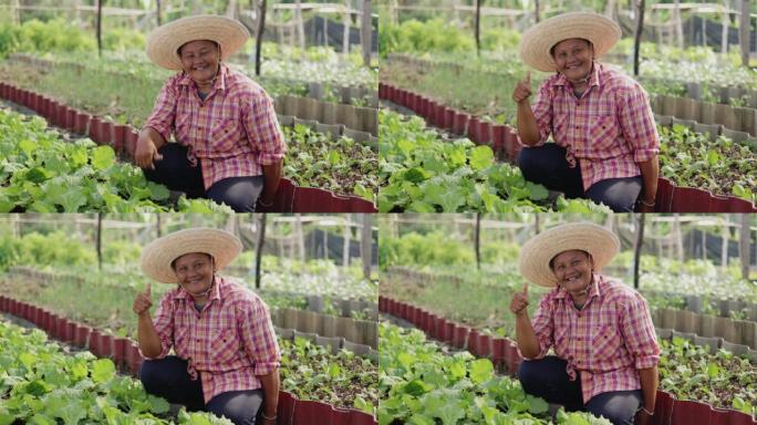 快乐的亚洲农民在农村当地农场的新鲜有机蔬菜中微笑。