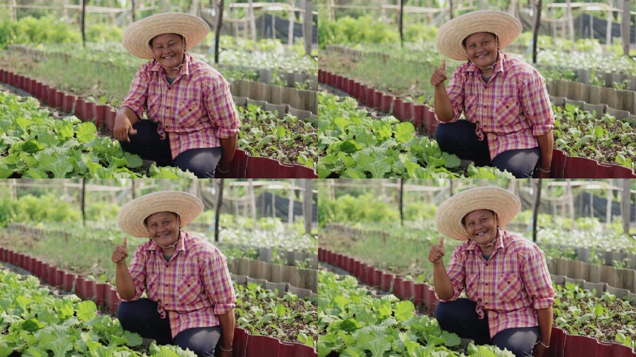 快乐的亚洲农民在农村当地农场的新鲜有机蔬菜中微笑。