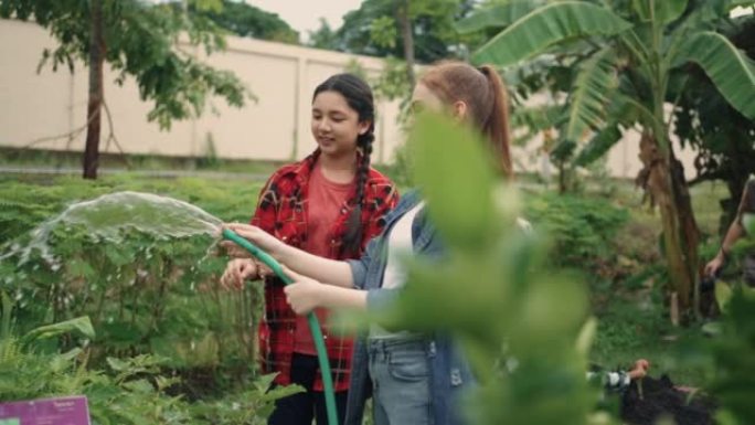 两个十几岁的女孩在城市花园里一起给植物浇水。