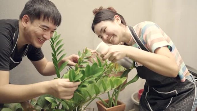 房子里的树店和真正的员工