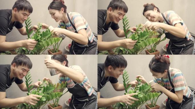 房子里的树店和真正的员工