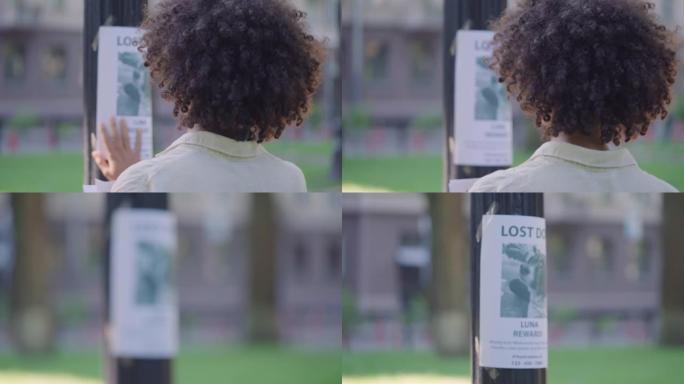 黑人女性动物收容所志愿者在灯柱上张贴失踪的狗海报