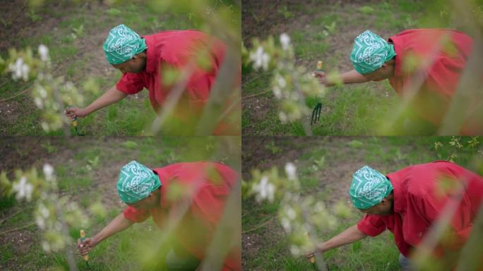 非裔美国园丁用园艺叉松开地面的高角度视图。夏季春日，严肃的年轻英俊的园林设计师在户外使用工具的肖像。