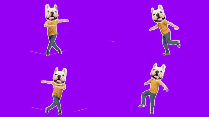 4K最小动画运动设计。跳街舞的搞笑狗脸。Pop and dance mood. Young happ