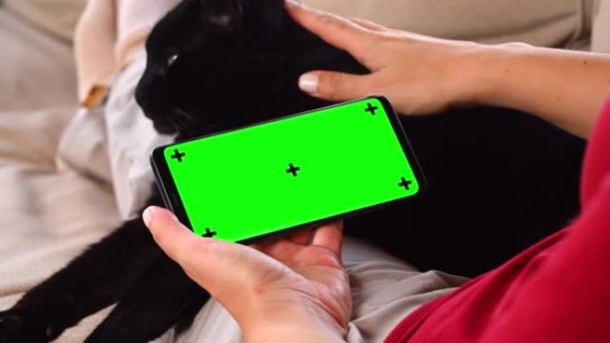 使用带猫的色度键gren屏幕智能手机