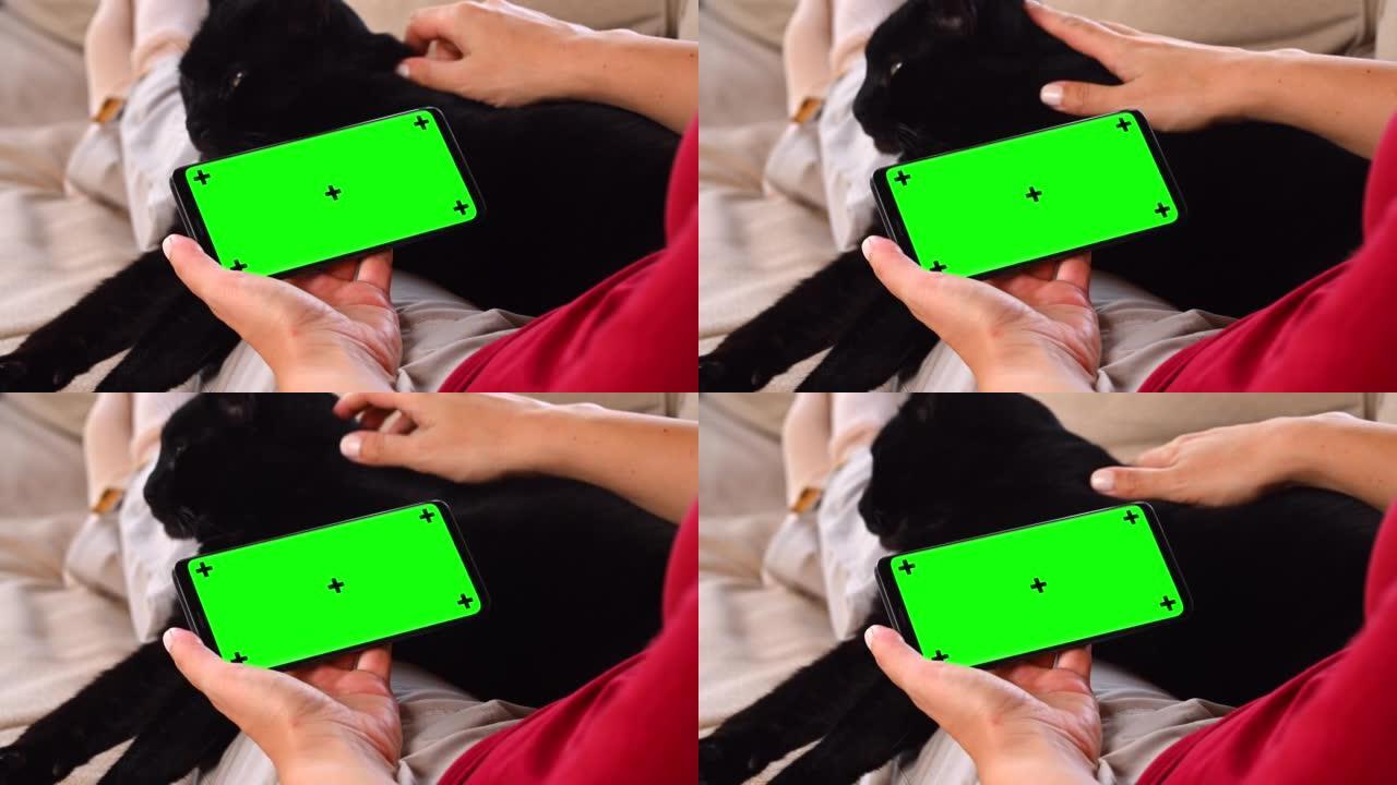 使用带猫的色度键gren屏幕智能手机