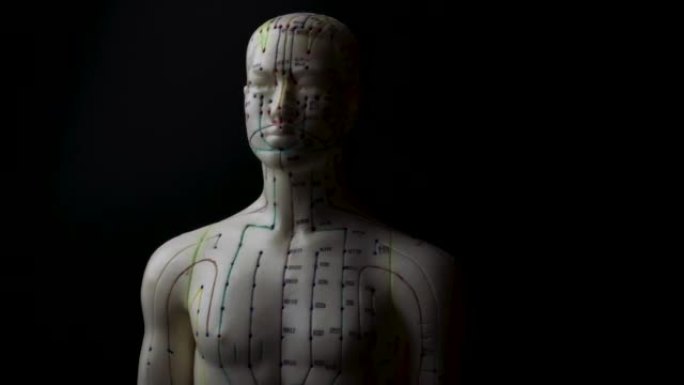 旋转针灸人体模型显示人体的经络，喜怒无常高对比度照明概念，用于替代医学疗法和中医治疗方法