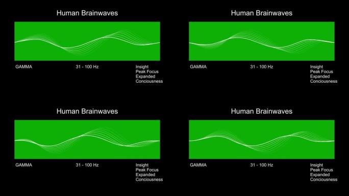 伽马人类脑电波图。4k动画。