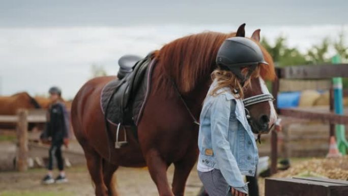 小女孩在围场上带领马匹参加儿童马术比赛，体育活动