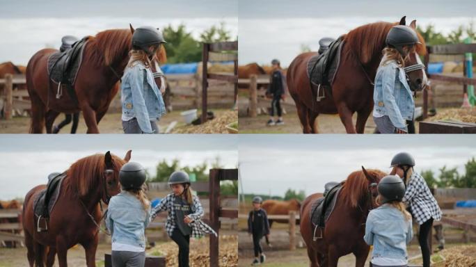 小女孩在围场上带领马匹参加儿童马术比赛，体育活动