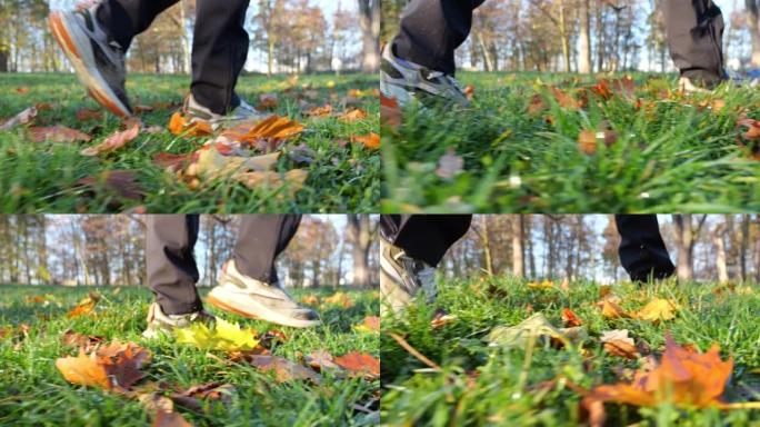 在公园里播撒秋叶。鞋子的特写镜头。秋日的阳光照亮了秋叶。