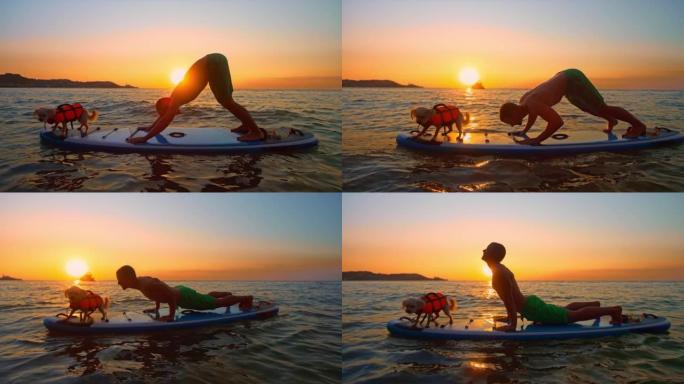 日落时，SLO MO Man和他的狗在桨板上做瑜伽