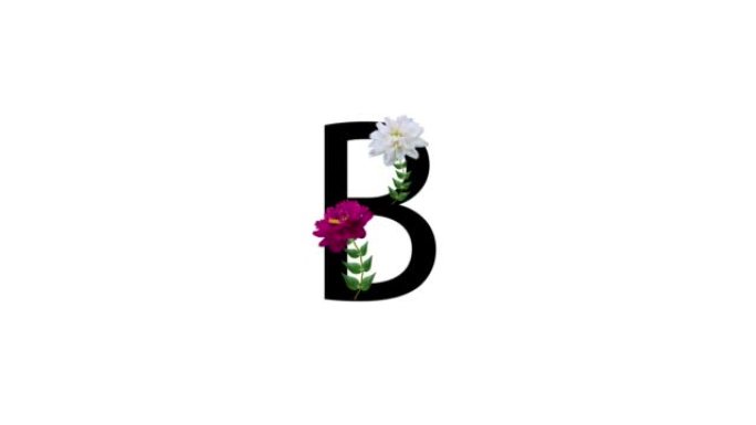 字母B白色背景上有花朵，字母上有花朵，花朵盛开