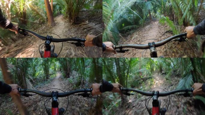 沿着丛林轨道进行山地自行车的第一人称视角