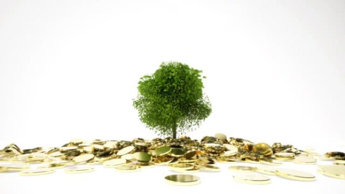 树生长金币金融经济增长概念金融商业投资成功4k