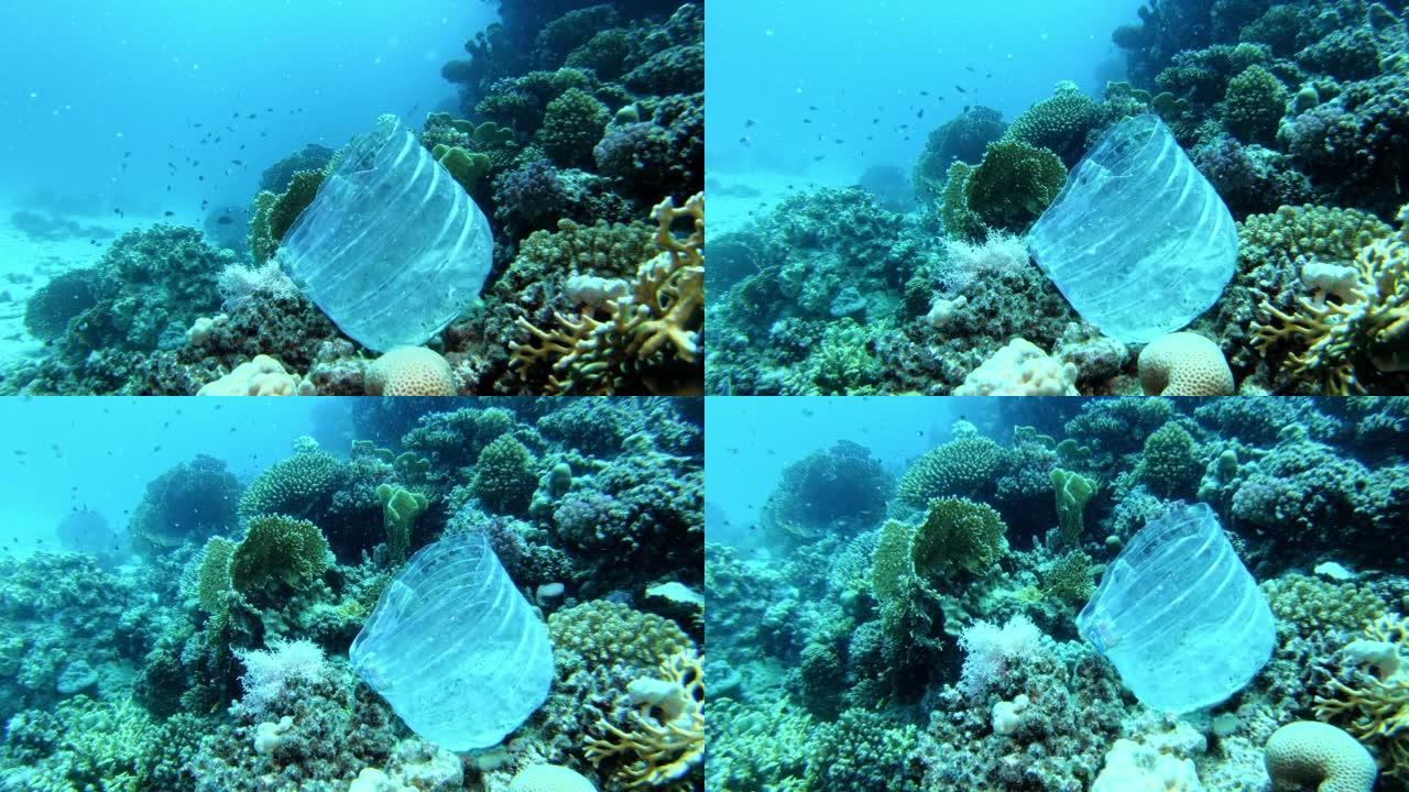 水下生命。漂浮在多色珊瑚礁上方的塑料瓶。环境破坏