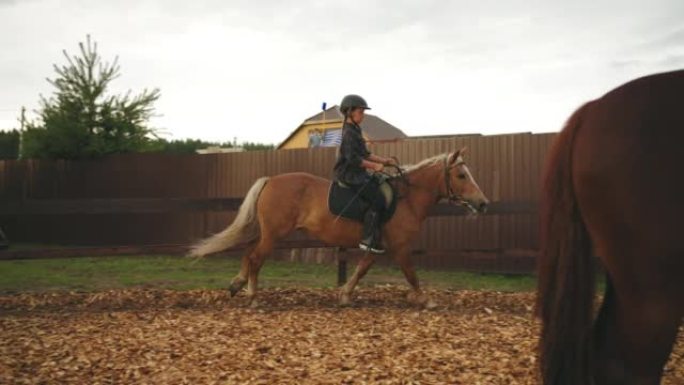 小女孩骑师正在骑马学校训练，夏天在围场骑小马