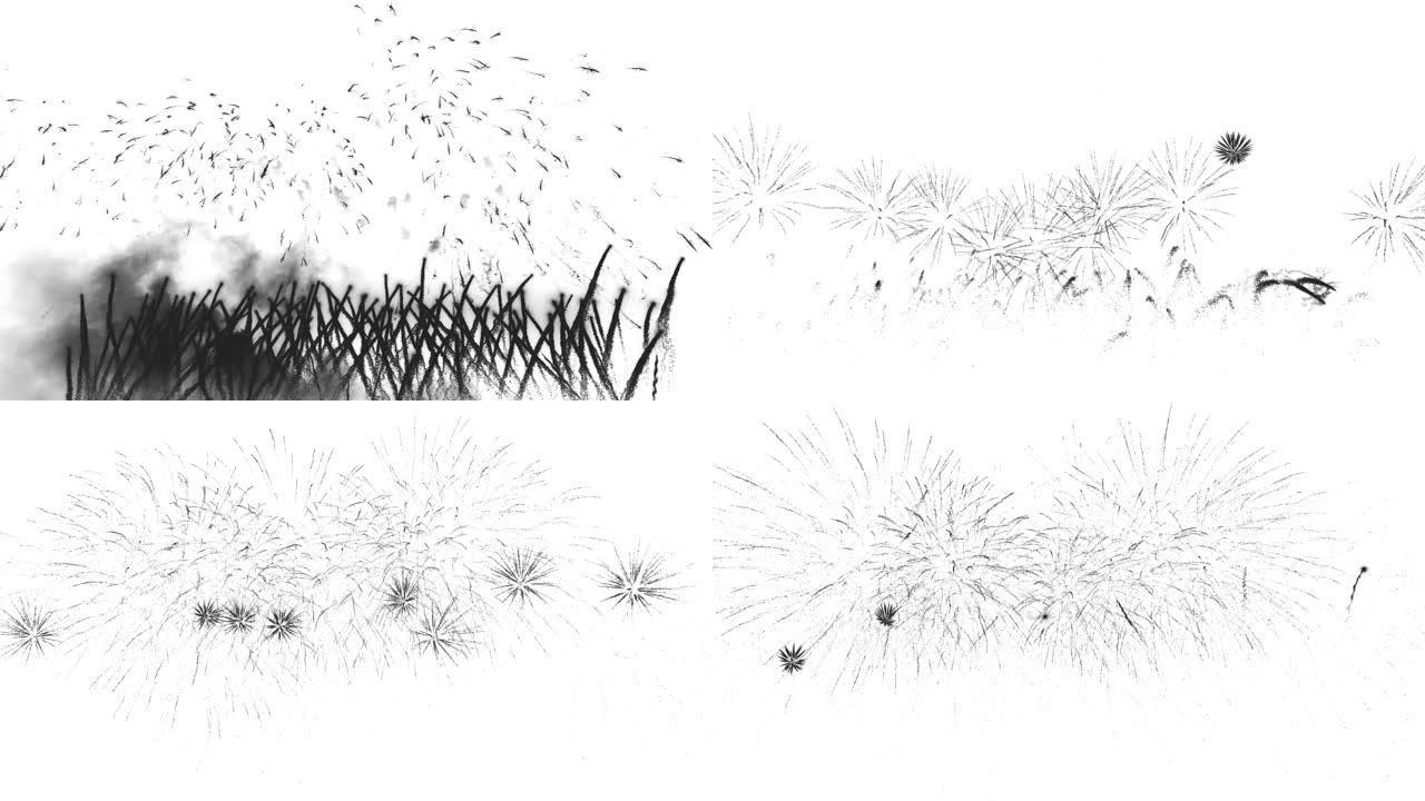 白色背景上的抽象烟花，7月4日独立日概念。高质量4k视频