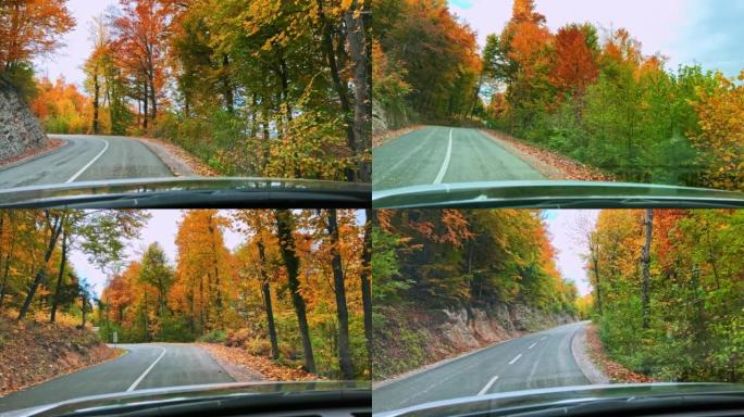 汽车沿着秋天的森林在柏油路上行驶