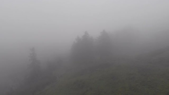 山和浓雾的鸟瞰图