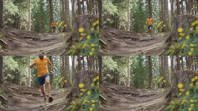 人在山上奔跑: 白云岩