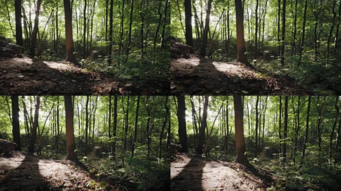 在阳光明媚的森林中拍摄的电影一位骑着山地自行车的专业极限自行车手加速并跳过森林中的障碍物和山丘。骑自
