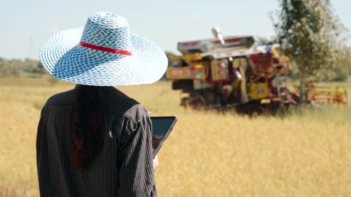 亚洲妇女农业技术控制作物产量收获