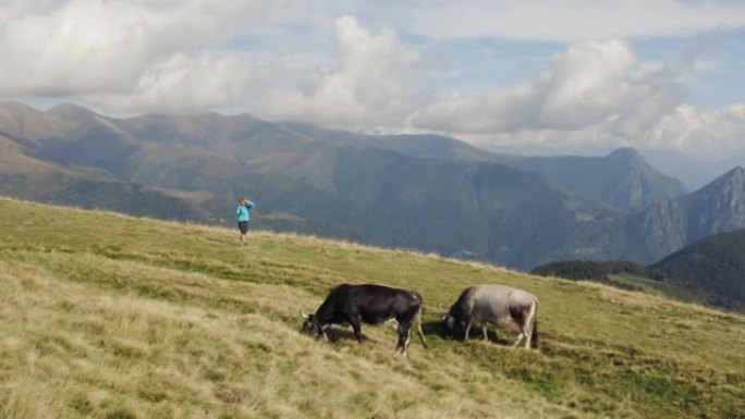 空中无人机拍摄的一名妇女在山上的草木山顶上穿过一群奶牛
